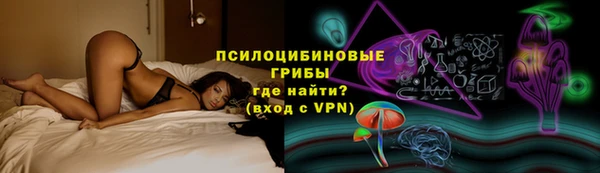 мдпв Коряжма
