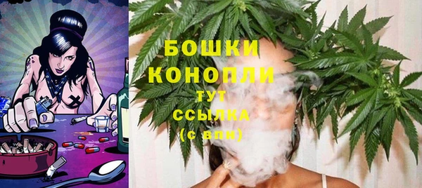 мдпв Козловка