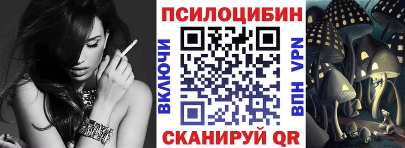 omg как зайти Братск Псилоцибиновые грибы Psilocybine cubensis