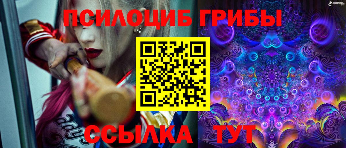 Псилоцибиновые грибы GOLDEN TEACHER  Братск  Галлюциногенные грибы мицелий 