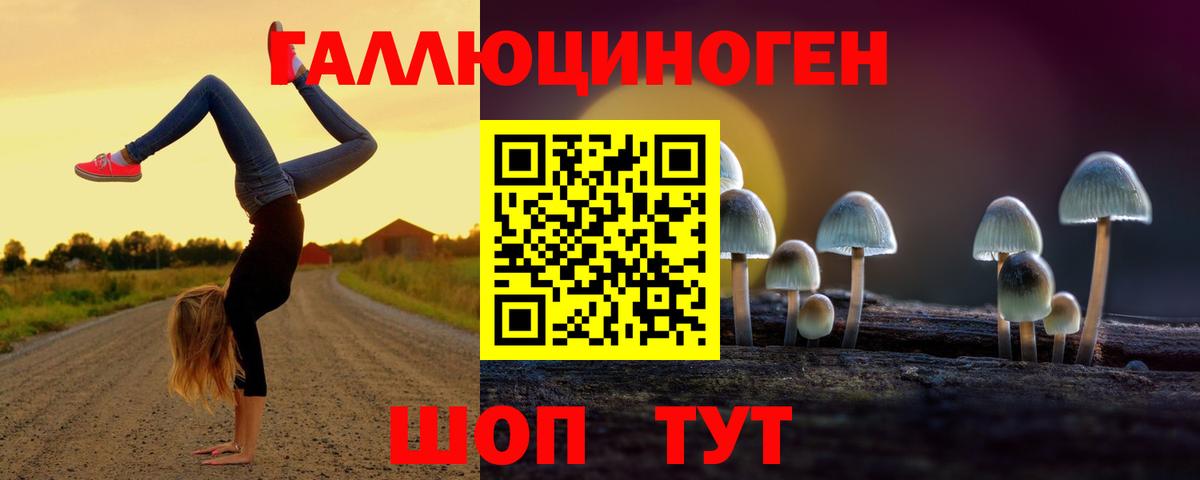 Псилоцибиновые грибы мицелий Братск